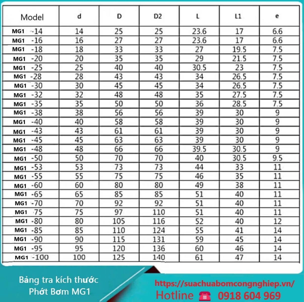 Phớt bơm MG1-18(1)